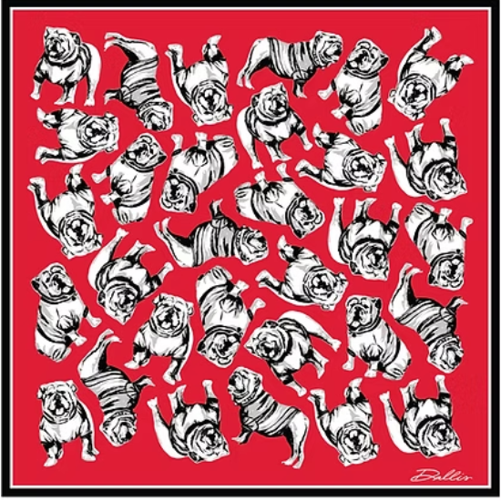 RED UGA GAME SCARF