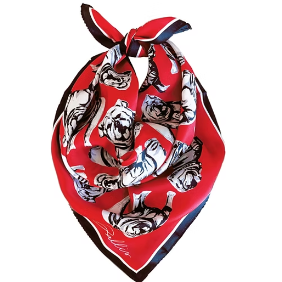 RED UGA GAME SCARF