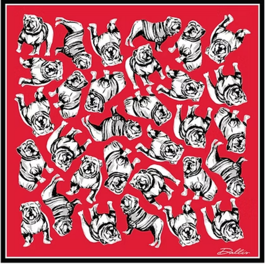 RED UGA GAME SCARF